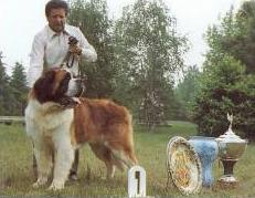 Campioni