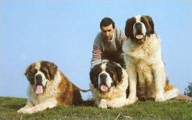 Campioni